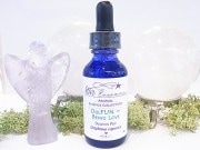 SA00012Fꥹ륨å󥹡ʥå󥹡Dolphin 륫