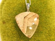 PA00117F���ۥ磻�ȥ����ǥ󥯥����ġ��ڥ����ȥȥå�