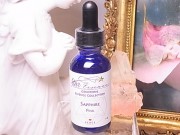 SA00013Fꥹ륨å󥹡ʥå󥹡˥ԥ󥯥ե