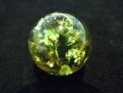 CA00082F�����꡼�󥢥�С����ݶ̡���ȥ��˥���