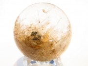 CA00085F���ۥ磻�ȥ����ǥ󥯥����ġ��ݶ�