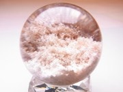 CA00086F���ۥ磻�ȥ����ǥ󥯥����ġ��ݶ�