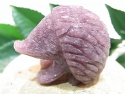 CA00044K饤 ϥͥ ɥͥ