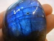 CCI0008F ڹʼۥ֥ɥ饤ȡ롼