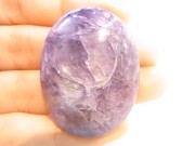 CCI0009F󥸥륷ꥫ롼