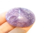 CCI0010F󥸥륷ꥫ롼