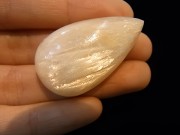 CCI0013F ���ƥ���Х��� �롼��