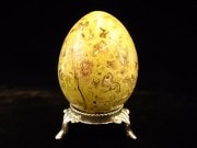 CKM0005F�����꡼�󥪥ѡ��롡���å�