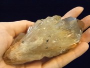 GKM0019F��ŷ�����ȥ�󥫥ƥɥ�롡����