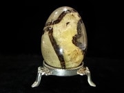 CKM0013F�����ץ��ꥢ�󡡥��å�