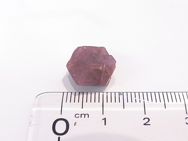 GA00089F���饺�٥꡼�����ͥåȡʥԥ󥯥����å���顼�����ͥåȡ˸��� �ᥭ������