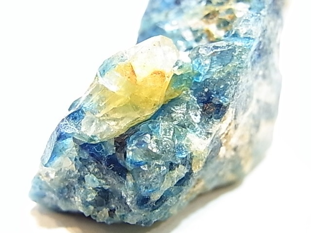 AR0007F���桼���졼���ʵ����Сˡ����С�����Х֥���