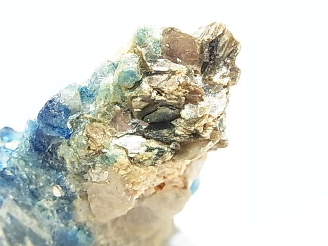 AR0007F���桼���졼���ʵ����Сˡ����С�����Х֥���