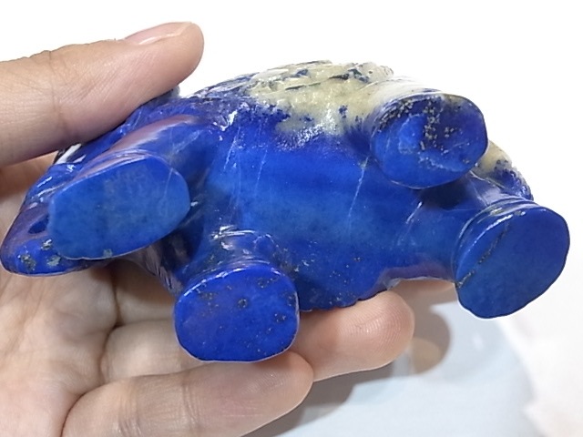 CBM0079N ��ԥ��饺�ꡡ�� �ʼ�Ħ���