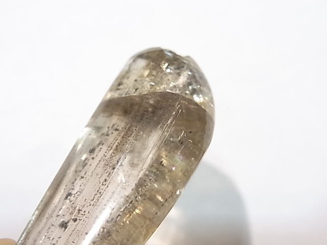 CA00059K��������ݥ饤�ȡ�����֥�