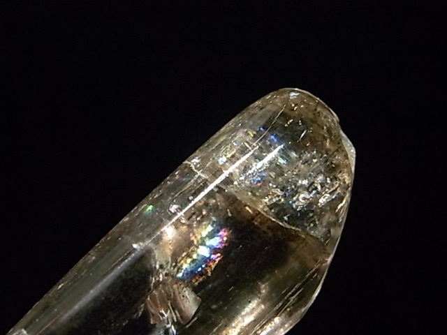 CA00059K��������ݥ饤�ȡ�����֥�