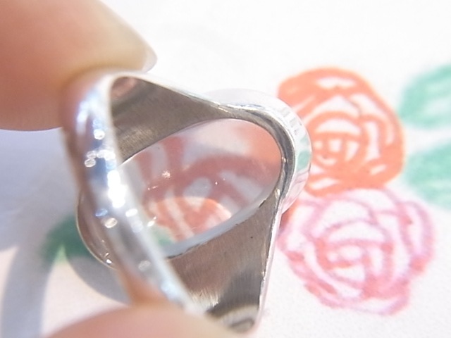 RA00065Fڹʼۥࡼ󥹥ȡ С󥰡ʥɻ