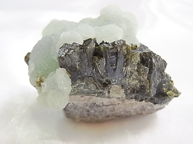 GA00154F ץʥȸСʥԥɡդ