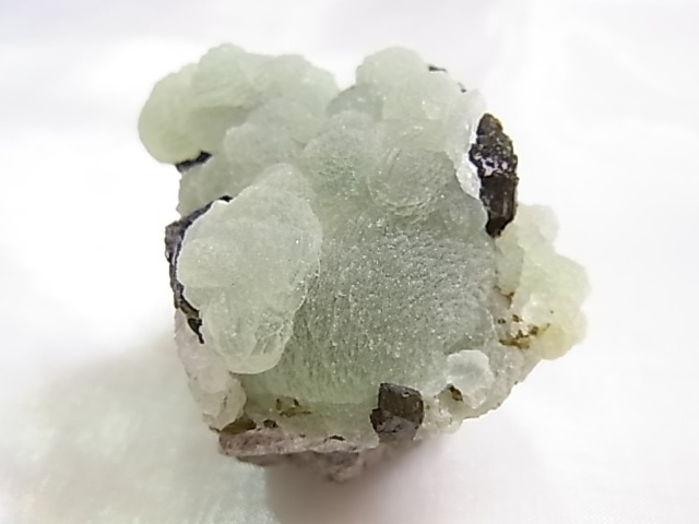 GA00154F ץʥȸСʥԥɡդ