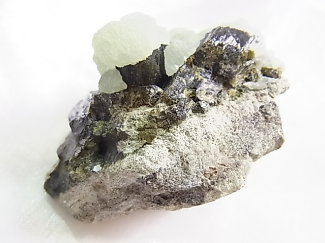 GA00154F ץʥȸСʥԥɡդ