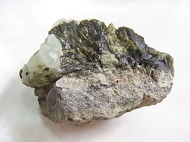 GA00154F ץʥȸСʥԥɡդ