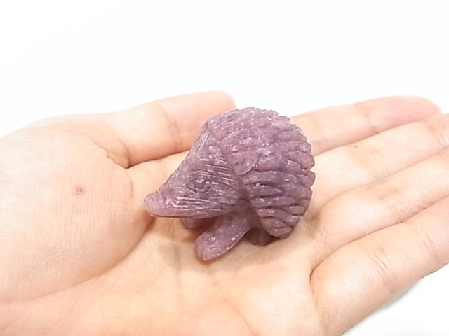 CA00044K�������饤�� �ϥ�ͥ��� ����ɥͥ�����