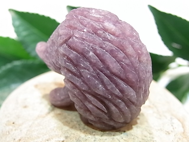 CA00044K�������饤�� �ϥ�ͥ��� ����ɥͥ�����