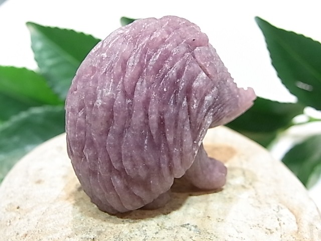 CA00044K�������饤�� �ϥ�ͥ��� ����ɥͥ�����