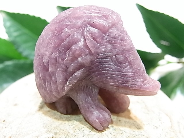 CA00044K�������饤�� �ϥ�ͥ��� ����ɥͥ�����