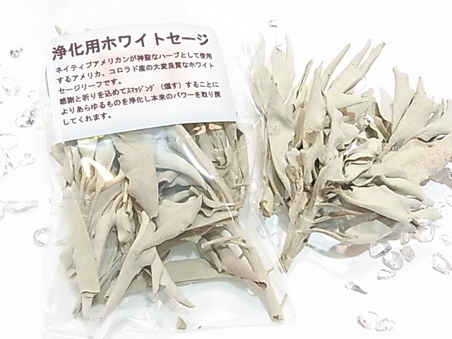 OTF3376���ۥ磻�ȥ������ڥ�����ɻ��ۡ�5�ޥ��å�