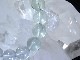 BF0082 �ե����饤�ȡ���12�����̥֥쥹��å�