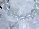 BF0082 �ե����饤�ȡ���12�����̥֥쥹��å�