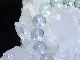 BF0082 �ե����饤�ȡ���12�����̥֥쥹��å�