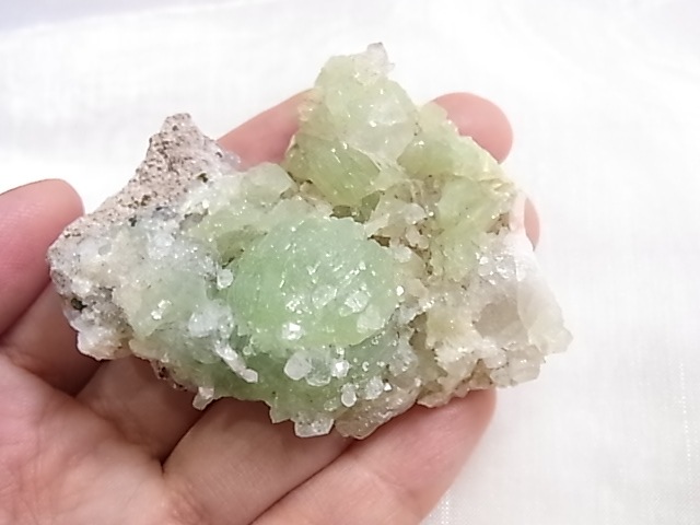 GA00155F �ץ�ʥ��ȸ��Сʿ徽�դ���