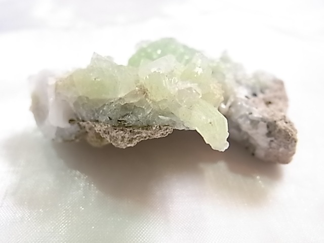 GA00155F �ץ�ʥ��ȸ��Сʿ徽�դ���