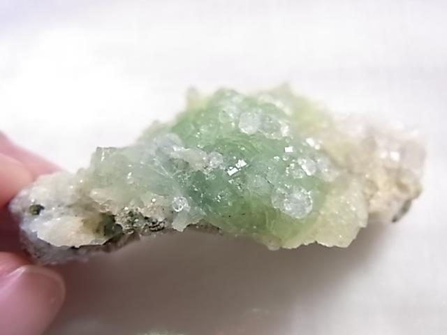 GA00155F �ץ�ʥ��ȸ��Сʿ徽�դ���