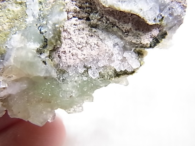 GA00155F �ץ�ʥ��ȸ��Сʿ徽�դ���