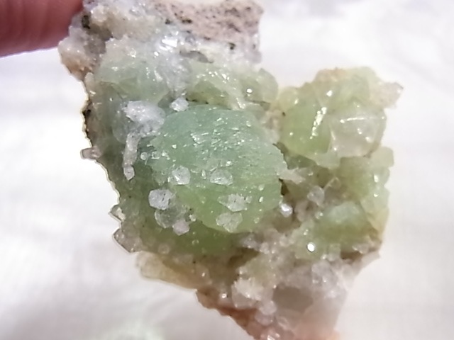 GA00155F �ץ�ʥ��ȸ��Сʿ徽�դ���