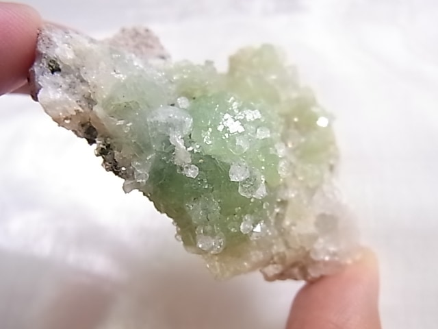 GA00155F �ץ�ʥ��ȸ��Сʿ徽�դ���