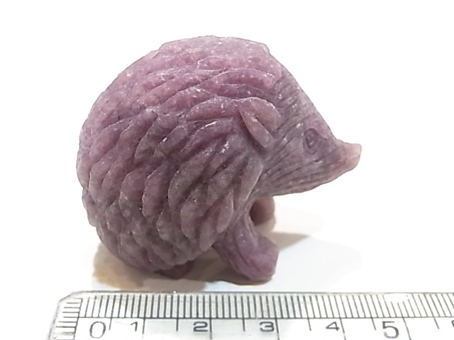 CA00045K饤 ϥͥ ɥͥ