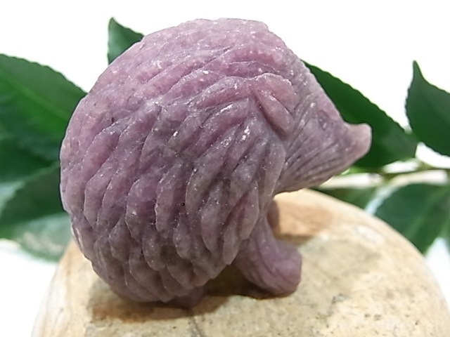 CA00045K饤 ϥͥ ɥͥ