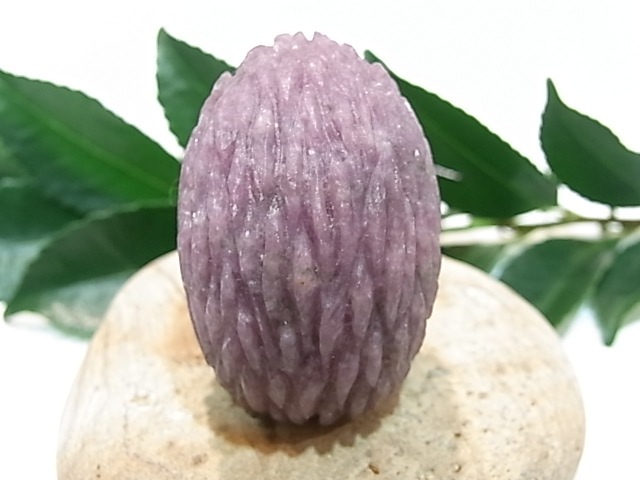 CA00045K饤 ϥͥ ɥͥ