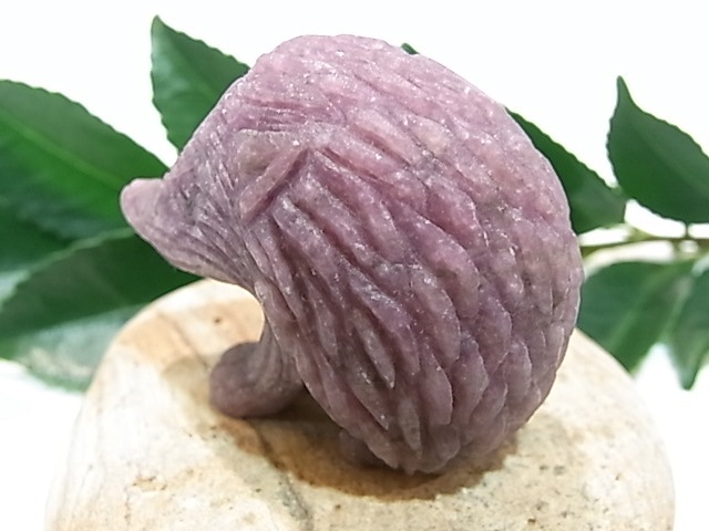 CA00045K饤 ϥͥ ɥͥ