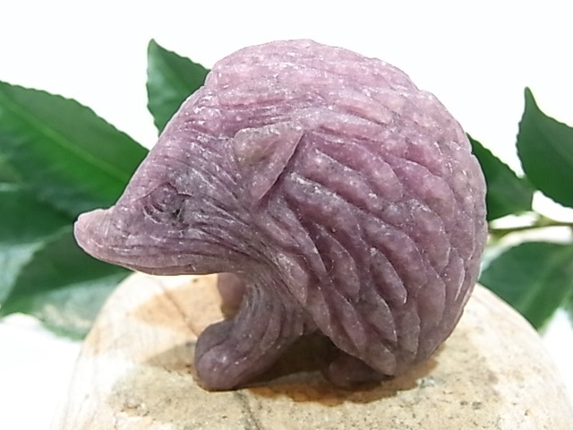 CA00045K饤 ϥͥ ɥͥ