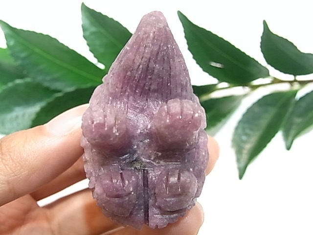 CA00045K饤 ϥͥ ɥͥ