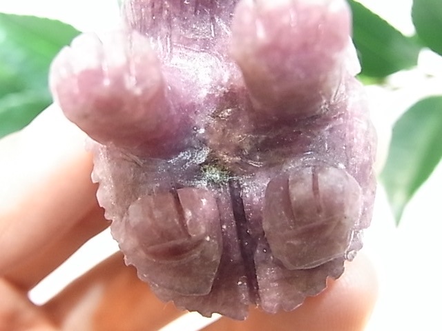 CA00045K饤 ϥͥ ɥͥ