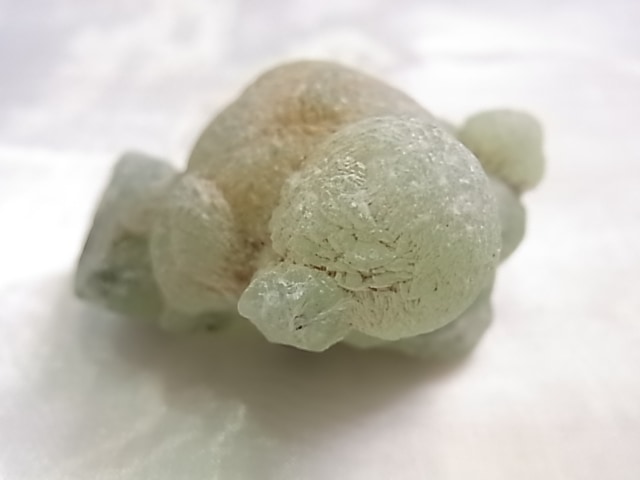 GA00157F �ץ�ʥ��ȸ���