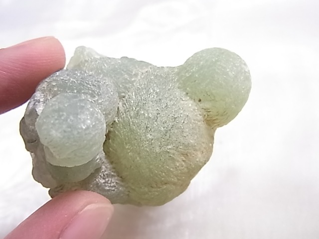 GA00157F �ץ�ʥ��ȸ���