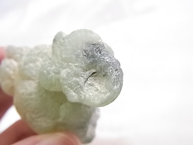 GA00157F �ץ�ʥ��ȸ���