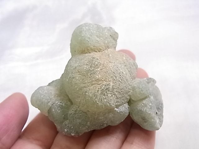 GA00157F �ץ�ʥ��ȸ���